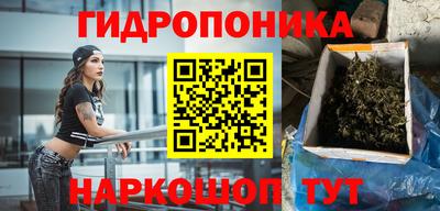 крисы Гуково