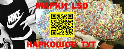 гидропоника Вязьма