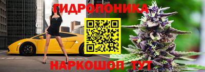 крисы Гуково