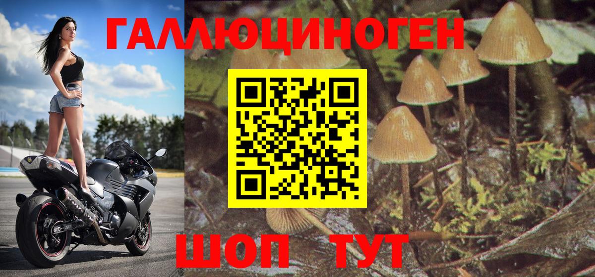 Галлюциногенные грибы Cubensis Выкса